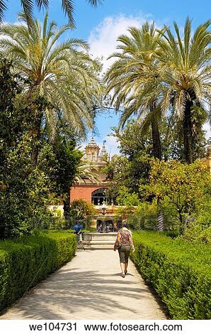 Stock Image - Gardens of the Alcazar, Reales Alcazares, Seville, Andalusia, Spain. Fotosearch