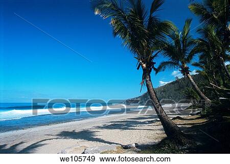 Grande Anse beach, La Reunion island France, Indian Ocean View Large Photo Image Stock Photo - Grande Anse beach, La Reunion island France, Indian Ocean. Fotosearch