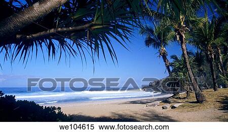 Grande Anse beach, Reunion island View Large Photo Image Stock Photography - Grande Anse beach, Reunion island. Fotosearch