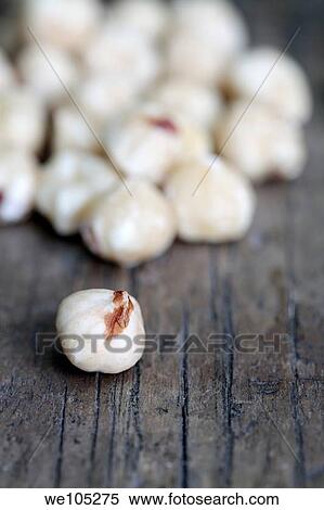 Stock Photography - Hazelnuts. Fotosearch