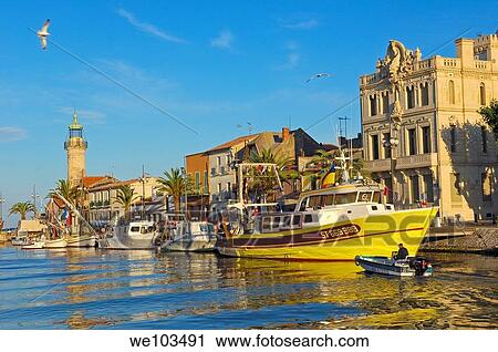 Le Grau-du-Roi, Petite Camargue, Gard, Languedoc-Roussillon, France View Large Photo Image Stock Image - Le Grau-du-Roi, Petite Camargue, Gard, Languedoc-Roussillon, France. Fotosearch