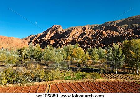 Limestone rock fingers poplar trees and cultivated fields with moon in Dades Gorge Morocco View Large Photo Image Stock Photo - Limestone rock fingers poplar trees and cultivated fields with moon in Dades Gorge Morocco. Fotosearch