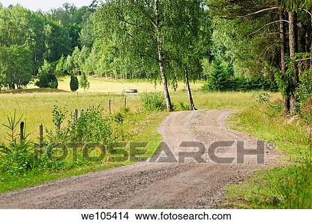 Natural landscape and a gravel road, Sweden View Large Photo Image Picture - Natural landscape and a gravel road, Sweden. Fotosearch