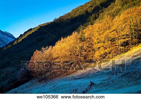 Paisaje de Ramales de la Victoria Cantabria España Europa View Large Photo Image Stock Photograph - Paisaje de Ramales de la Victoria Cantabria España Europa. Fotosearch