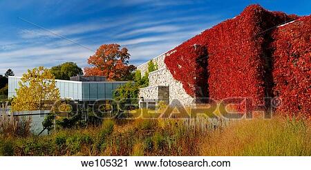 Stock Image - Panorama of new modern building at Toronto Botanical Garden in Edwards Gardens Toronto with red ivy. Fotosearch