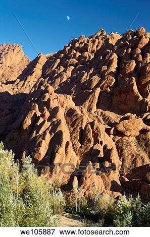 Red rock limestone fingers and poplar trees with moon in Dades Gorge Morocco View Large Photo Image Stock Photo - Red rock limestone fingers and poplar trees with moon in Dades Gorge Morocco. Fotosearch