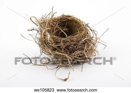 Stock Image - Robin´s nest photographed in the studio on a white background. Fotosearch