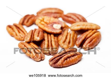 shelled Pecan Nuts Carya illinoensis On white Background View Large Photo Image Stock Photo - shelled Pecan Nuts Carya illinoensis On white Background. Fotosearch