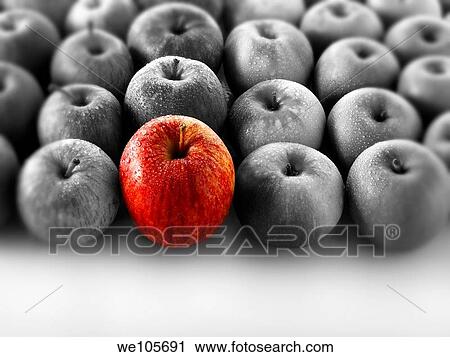 Single red apple amongst other mixed apples View Large Photo Image Stock Image - Single red apple amongst other mixed apples. Fotosearch