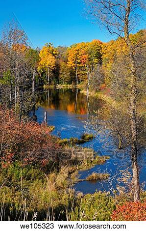 Small lake with Fall colors in the hills of Oak Ridges Moraine at Caledon Ontario View Large Photo Image Stock Image - Small lake with Fall colors in the hills of Oak Ridges Moraine at Caledon Ontario. Fotosearch