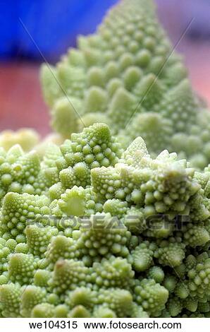 Steaming hot broccoli View Large Photo Image Stock Photography - Steaming hot broccoli. Fotosearch