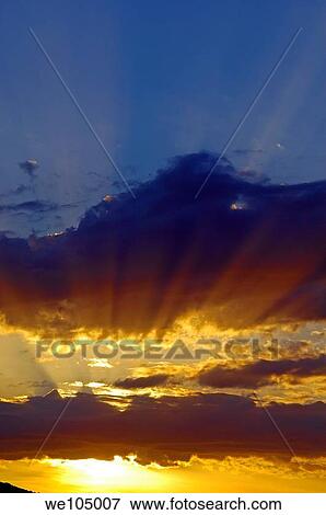 Sunset at Camargue, Gard, Languedoc-Roussillon, France View Large Photo Image Stock Photo - Sunset at Camargue, Gard, Languedoc-Roussillon, France. Fotosearch