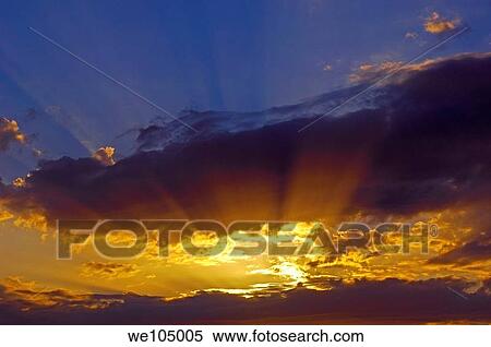 Sunset at Camargue, Gard, Languedoc-Roussillon, France View Large Photo Image Stock Photography - Sunset at Camargue, Gard, Languedoc-Roussillon, France. Fotosearch
