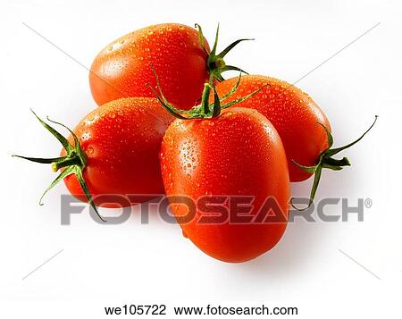 Sussex Plum Tomaotes View Large Photo Image Stock Image - Sussex Plum Tomaotes. Fotosearch