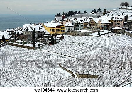 The municipality of Rivaz between snow-covered vineyards and Lac Leman, Lake Geneva, in the UNESCO World Heritage site Lavaux at a cold winter day, cantone of Vaud, Switzerland View Large Photo Image Picture - The municipality of Rivaz between snow-covered vineyards and Lac Leman, Lake Geneva, in the UNESCO World Heritage site Lavaux at a cold winter day, cantone of Vaud, Switzerland. Fotosearch