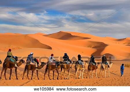 Tuareg Berber man leading a group of tourists on camels through the Erg Chebbi desert in Morocco View Large Photo Image Picture - Tuareg Berber man leading a group of tourists on camels through the Erg Chebbi desert in Morocco. Fotosearch