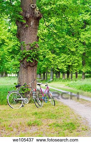 Two bicycles parked by a Gravel Road, Sweden View Large Photo Image Stock Photo - Two bicycles parked by a Gravel Road, Sweden. Fotosearch
