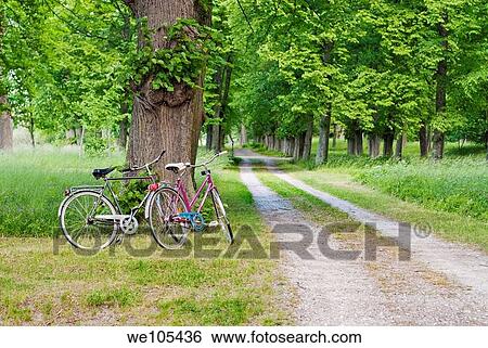 Stock Photograph - Two bicycles parked by a Gravel Road, Sweden. Fotosearch