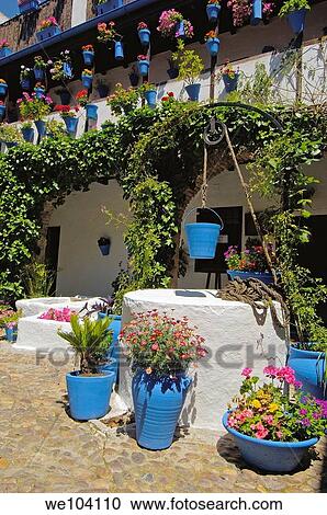 Typical courtyard in San Basilio quarter, Jewish quarter, Cordoba, Andalusia, Spain View Large Photo Image Stock Image - Typical courtyard in San Basilio quarter, Jewish quarter, Cordoba, Andalusia, Spain. Fotosearch