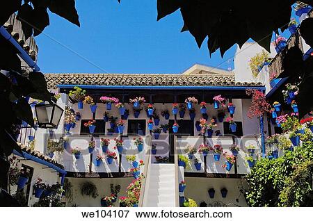Typical courtyard in San Basilio quarter, Jewish quarter, Cordoba, Andalusia, Spain View Large Photo Image Stock Photo - Typical courtyard in San Basilio quarter, Jewish quarter, Cordoba, Andalusia, Spain. Fotosearch