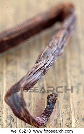 Vanilla Pod View Large Photo Image Stock Image - Vanilla Pod. Fotosearch