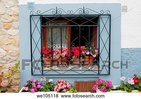 Window with flowers View Large Photo Image Stock Photo - Window with flowers. Fotosearch