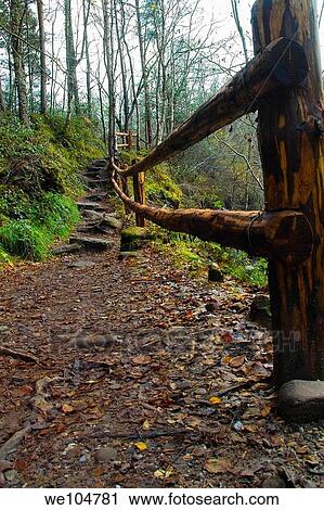 Woodland path in the Slieve Bloom Mountains, near Clonaslee, Ireland View Large Photo Image Stock Image - Woodland path in the Slieve Bloom Mountains, near Clonaslee, Ireland. Fotosearch