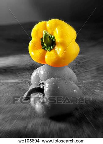 Yellow & orange fresh bell peppers photos, pictures & images View Large Photo Image Picture - Yellow & orange fresh bell peppers photos, pictures & images. Fotosearch