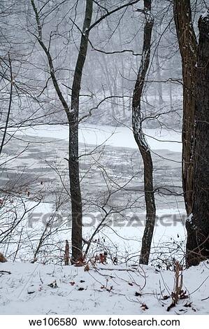 A freezing lake seen through the trees View Large Photo Image Stock Image - A freezing lake seen through the trees. Fotosearch