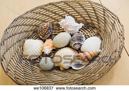 Basket of Sea Shells NO MR Property Release RF 01-02 View Large Photo Image Stock Photo - Basket of Sea Shells NO MR Property Release RF 01-02. Fotosearch