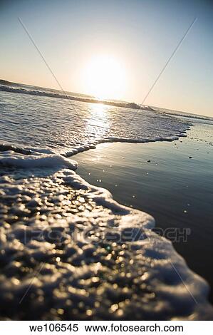 Beach on Bald Head Island, North Carolina View Large Photo Image Stock Photography - Beach on Bald Head Island, North Carolina. Fotosearch