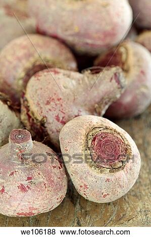 Beetroot View Large Photo Image Stock Photo - Beetroot. Fotosearch
