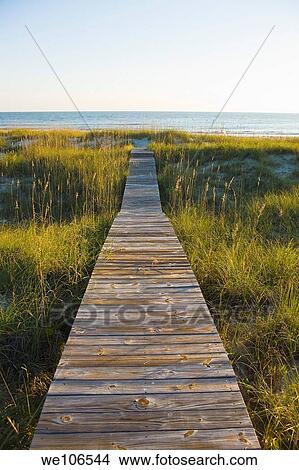 Boardwalk to Beach on Bald Head Island, North Carolina View Large Photo Image Picture - Boardwalk to Beach on Bald Head Island, North Carolina. Fotosearch