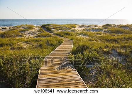 Boardwalk to Beach on Bald Head Island, North Carolina View Large Photo Image Stock Image - Boardwalk to Beach on Bald Head Island, North Carolina. Fotosearch