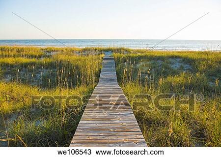 Boardwalk to Beach on Bald Head Island, North Carolina View Large Photo Image Stock Image - Boardwalk to Beach on Bald Head Island, North Carolina. Fotosearch