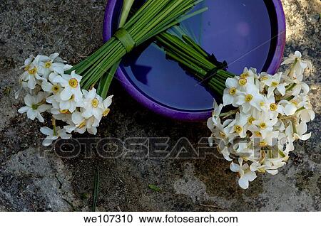 Stock Image - Bouquet of flowers, Provence, France. Fotosearch