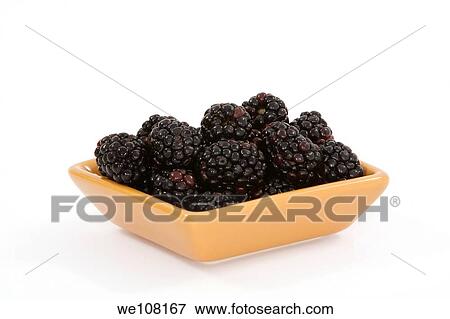 Stock Photo - Bowl of blackberries on white background. Fotosearch