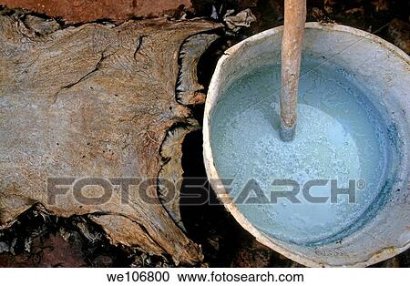 Stock Image - Bucket sits beside a leather hide in a tannery, Morocco. Fotosearch