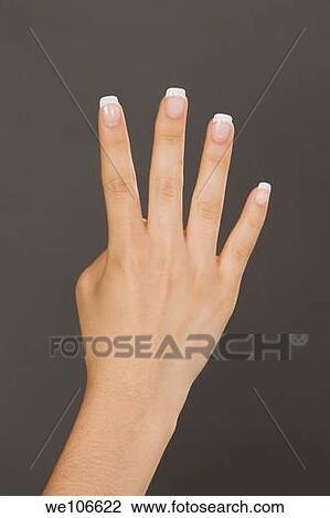 Caucasian female holding up four fingers View Large Photo Image Stock Image - Caucasian female holding up four fingers. Fotosearch