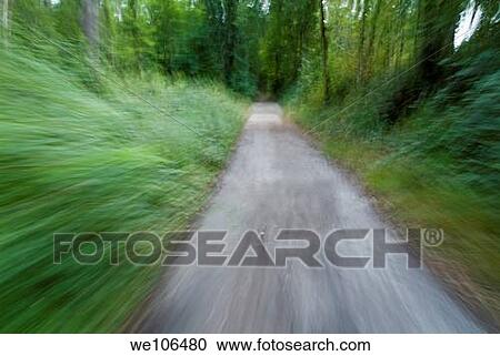 Dirt path and surrounding bush seen from a cyclist´s point of view View Large Photo Image Stock Image - Dirt path and surrounding bush seen from a cyclist´s point of view. Fotosearch