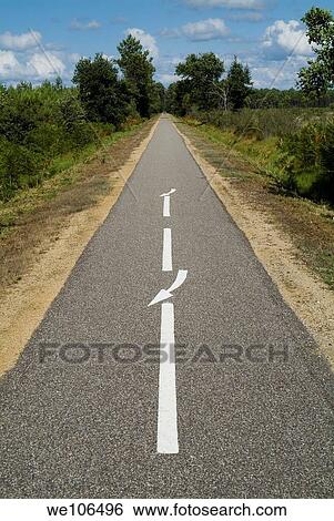 Dividing line on an empty bicycle track going through the Landes Forest, Hostens, France View Large Photo Image Stock Photograph - Dividing line on an empty bicycle track going through the Landes Forest, Hostens, France. Fotosearch