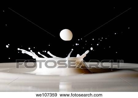Drops of milk splashing into the air View Large Photo Image Stock Photo - Drops of milk splashing into the air. Fotosearch