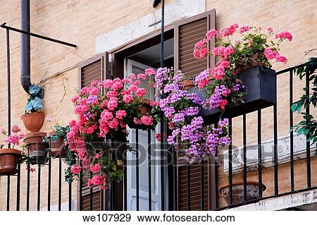Flower decorate the balcony of a home in Rome Italy View Large Photo Image Stock Photo - Flower decorate the balcony of a home in Rome Italy. Fotosearch