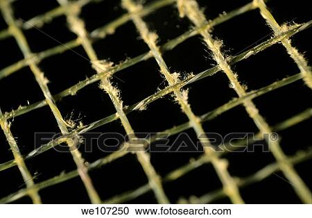 Stock Image - Frayed strings of a tennis racquet. Fotosearch