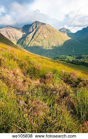 Glencoe scenic views, Scottish highlands, UK View Large Photo Image Stock Photo - Glencoe scenic views, Scottish highlands, UK. Fotosearch