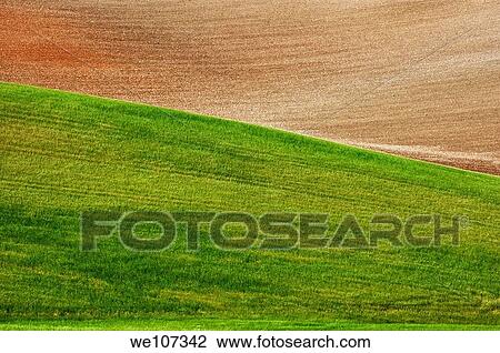 Green pasture near Ronda, Andalusia, Spain View Large Photo Image Stock Image - Green pasture near Ronda, Andalusia, Spain. Fotosearch