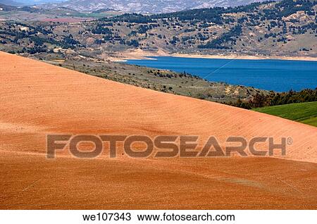 Green pasture near Ronda, Andalusia, Spain View Large Photo Image Stock Image - Green pasture near Ronda, Andalusia, Spain. Fotosearch