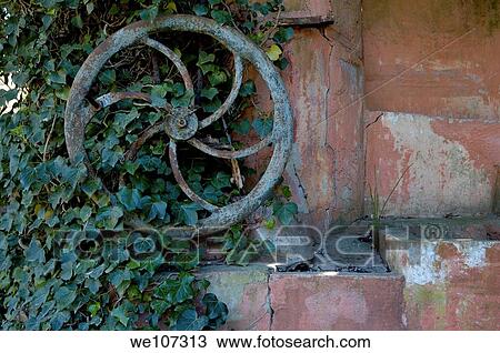 Iron wheel from an old well covered in ivy against an ochre wall, Provence, France View Large Photo Image Stock Image - Iron wheel from an old well covered in ivy against an ochre wall, Provence, France. Fotosearch