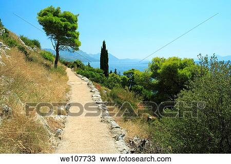 Narrow path leading from Zivogosce Mala Duba to Zivogosce Blato, Croatia View Large Photo Image Stock Image - Narrow path leading from Zivogosce Mala Duba to Zivogosce Blato, Croatia. Fotosearch