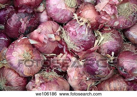 Organic Red Onions View Large Photo Image Stock Photograph - Organic Red Onions. Fotosearch